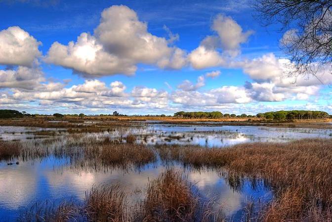 rio guadalquivir en doñana